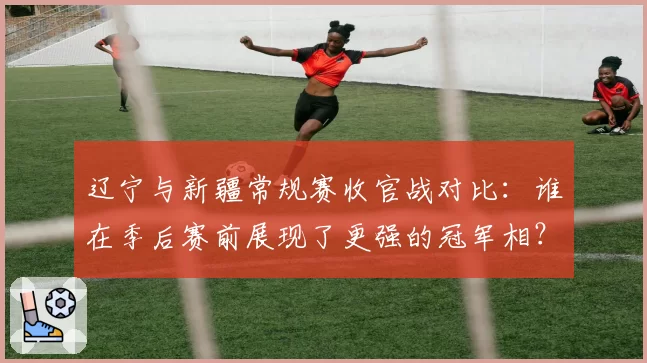 辽宁与新疆常规赛收官战对比：谁在季后赛前展现了更强的冠军相？