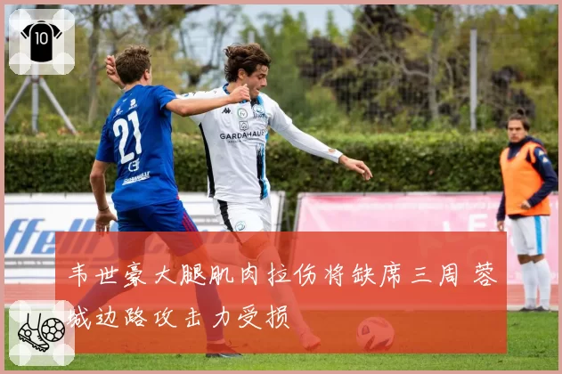 韦世豪大腿肌肉拉伤将缺席三周 蓉城边路攻击力受损